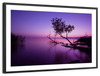 Violet Toned Lake Wall Art