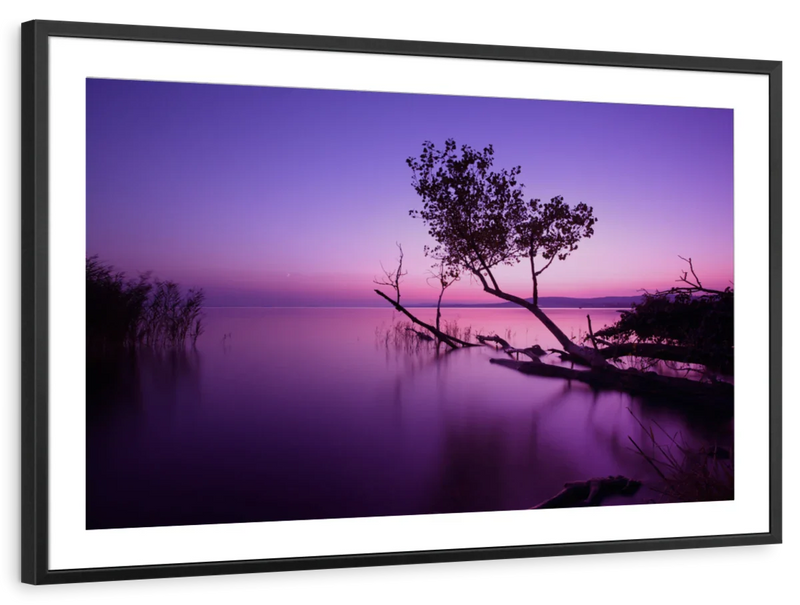 Violet Toned Lake Wall Art