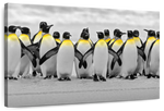 Penguins Pop Wall Art