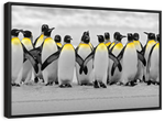 Penguins Pop Wall Art