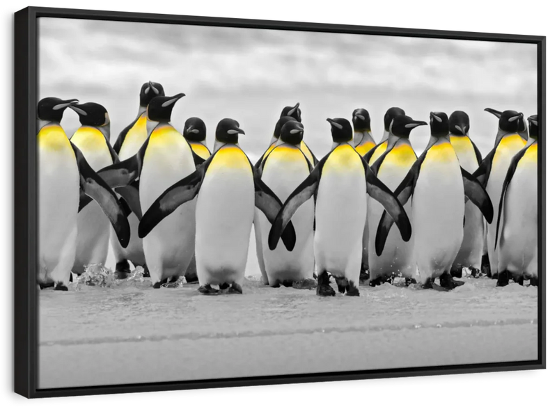 Penguins Pop Wall Art