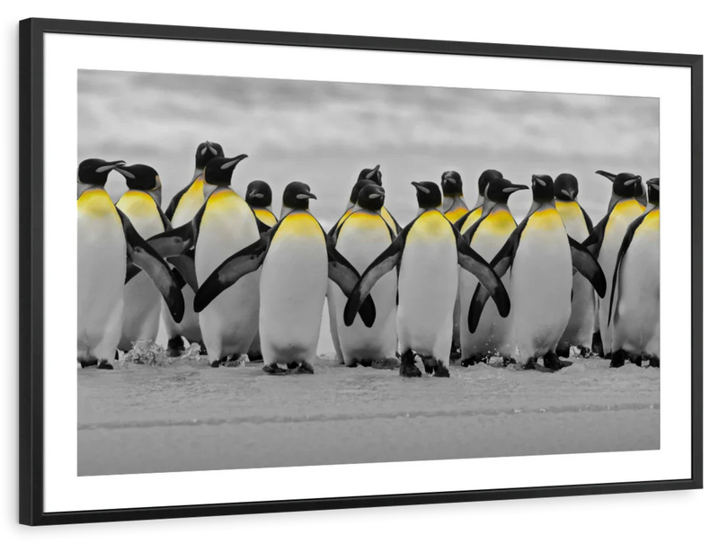 Penguins Pop Wall Art
