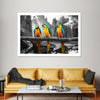 Macaw Friends Pop Wall Art