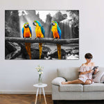 Macaw Friends Pop Wall Art
