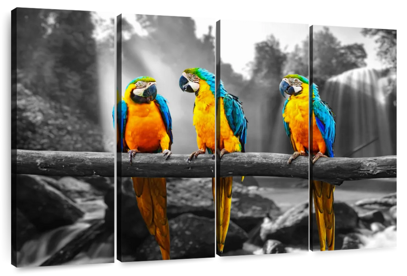 Macaw Friends Pop Wall Art