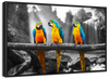 Macaw Friends Pop Wall Art