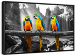 Macaw Friends Pop Wall Art