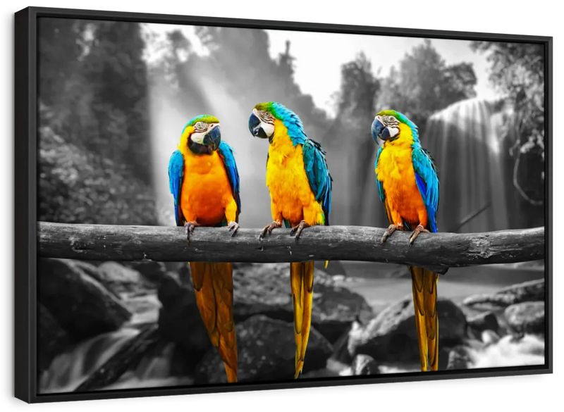 Macaw Friends Pop Wall Art