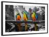 Macaw Friends Pop Wall Art