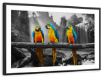 Macaw Friends Pop Wall Art
