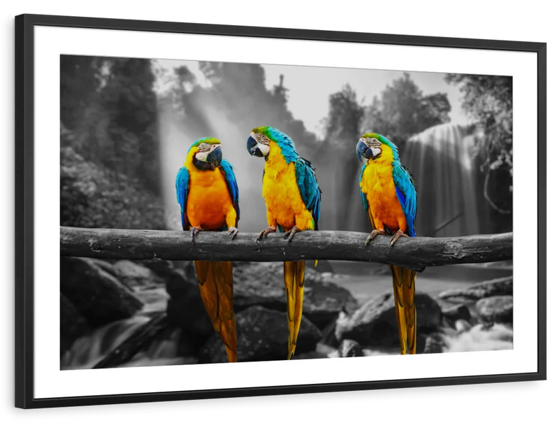 Macaw Friends Pop Wall Art