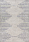 Stephan Gray & Blue Area Rug