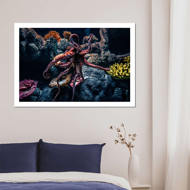 Octopus Habitat Wall Art