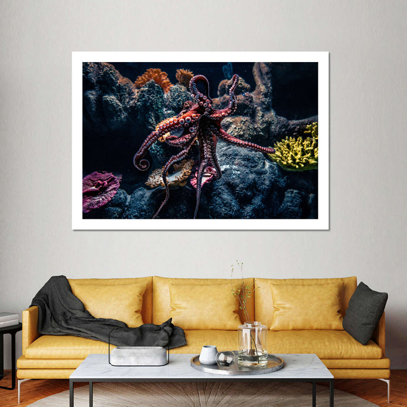 Octopus Habitat Wall Art
