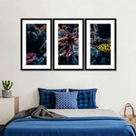Octopus Habitat Wall Art