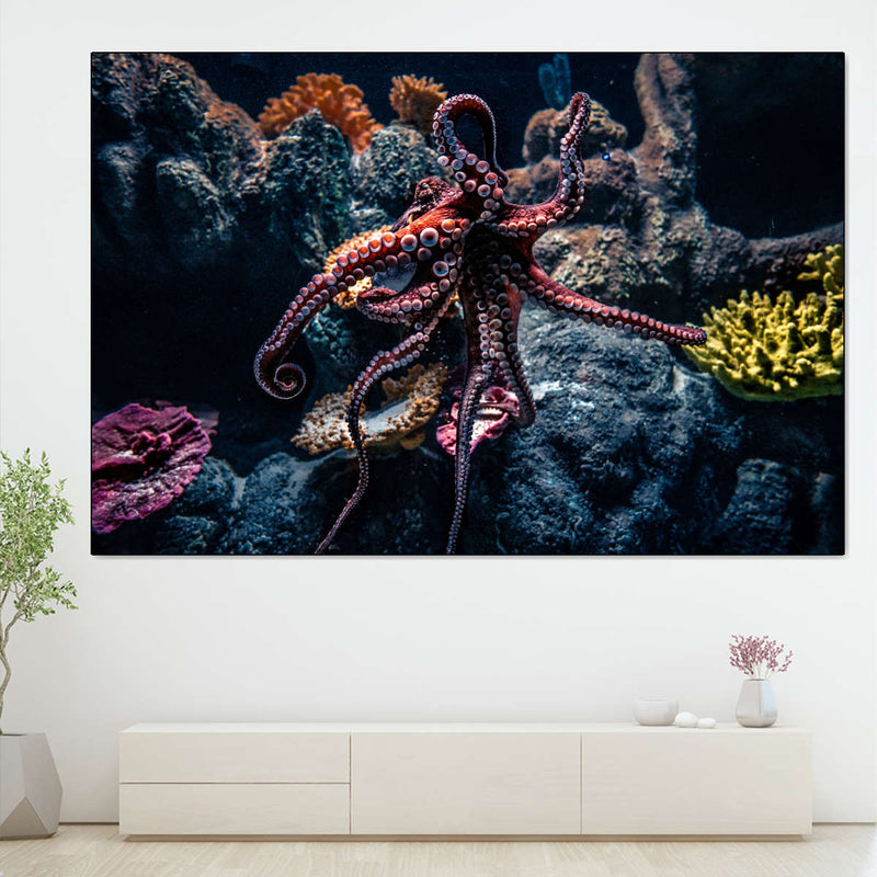 Octopus Habitat Wall Art