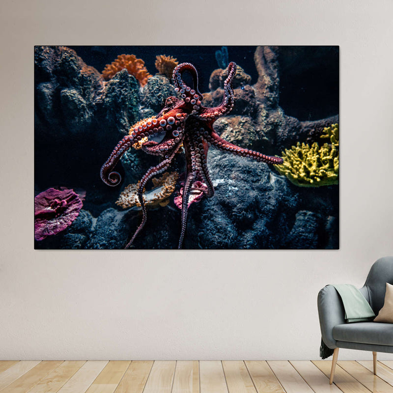 Octopus Habitat Wall Art