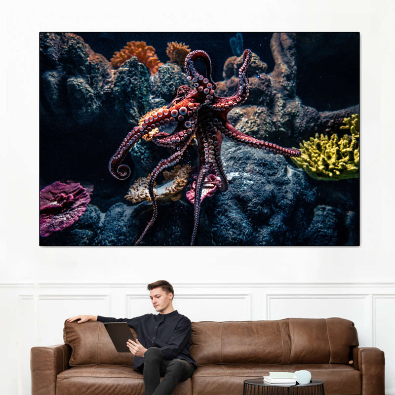 Octopus Habitat Wall Art