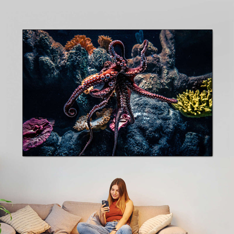 Octopus Habitat Wall Art