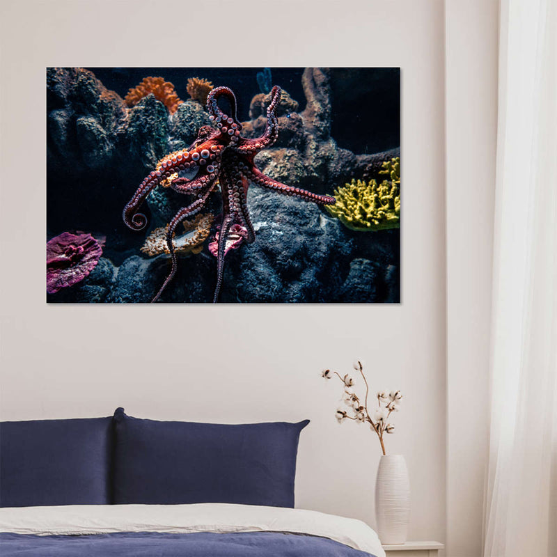 Octopus Habitat Wall Art