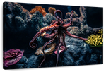 Octopus Habitat Wall Art