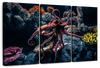 Octopus Habitat Wall Art