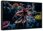 Octopus Habitat Wall Art