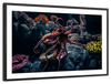 Octopus Habitat Wall Art