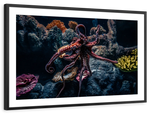 Octopus Habitat Wall Art