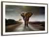 Walking Lone Elephant Wall Art