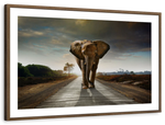 Walking Lone Elephant Wall Art