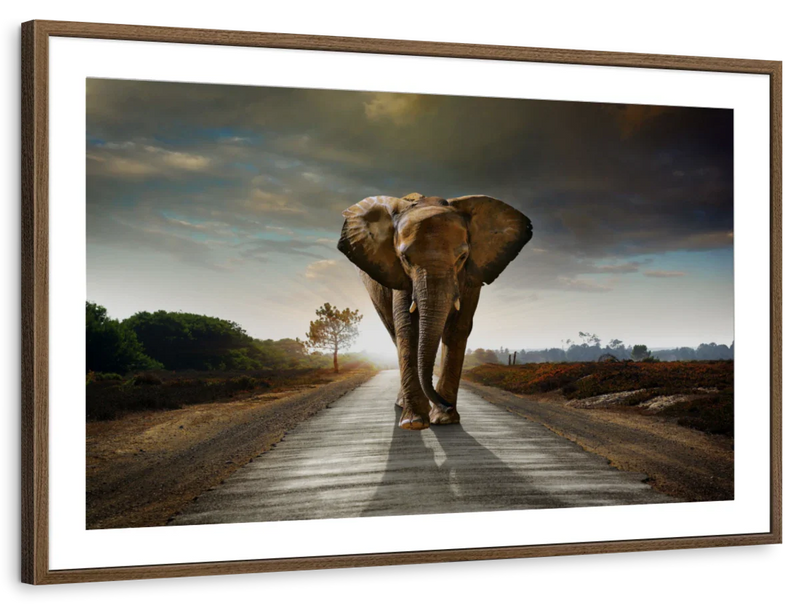 Walking Lone Elephant Wall Art