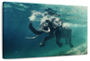 Swimming Elephant Wall Art