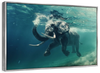 Swimming Elephant Wall Art