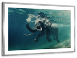 Swimming Elephant Wall Art