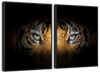 Tiger Gaze Wall Art