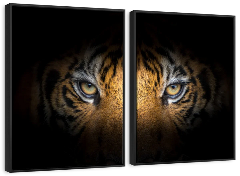 Tiger Gaze Wall Art