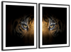 Tiger Gaze Wall Art