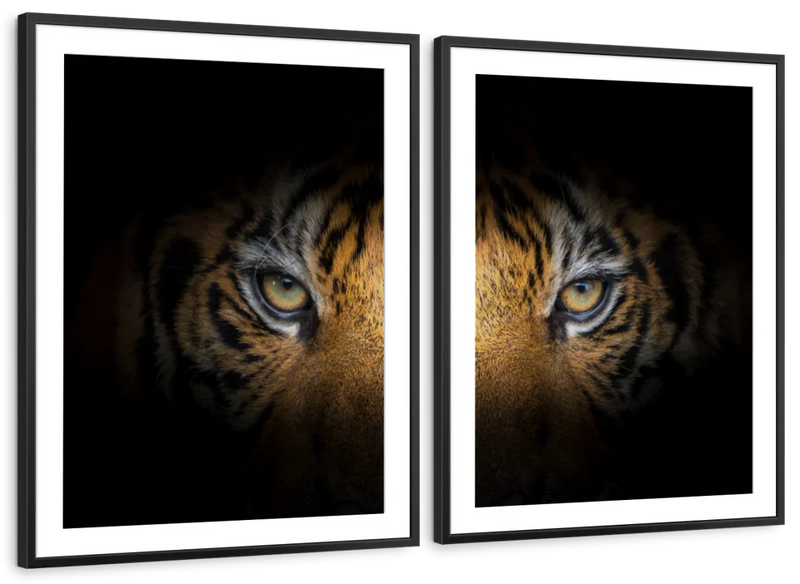 Tiger Gaze Wall Art