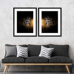 Tiger Gaze Wall Art