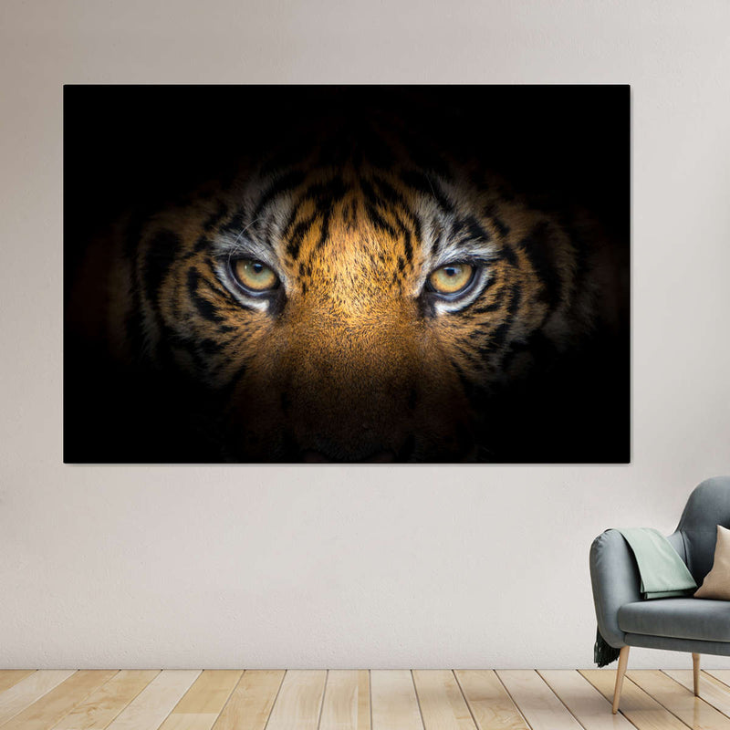 Tiger Gaze Wall Art