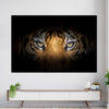 Tiger Gaze Wall Art