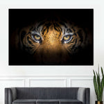 Tiger Gaze Wall Art