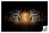 Tiger Gaze Wall Art