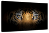 Tiger Gaze Wall Art
