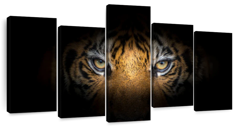 Tiger Gaze Wall Art