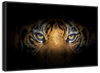 Tiger Gaze Wall Art