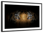 Tiger Gaze Wall Art
