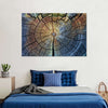 Tree Trunk Pattern Wall Art
