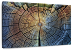 Tree Trunk Pattern Wall Art